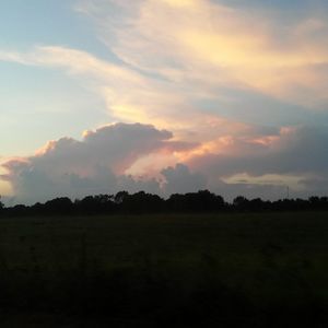 Meet your Posher, Shawn